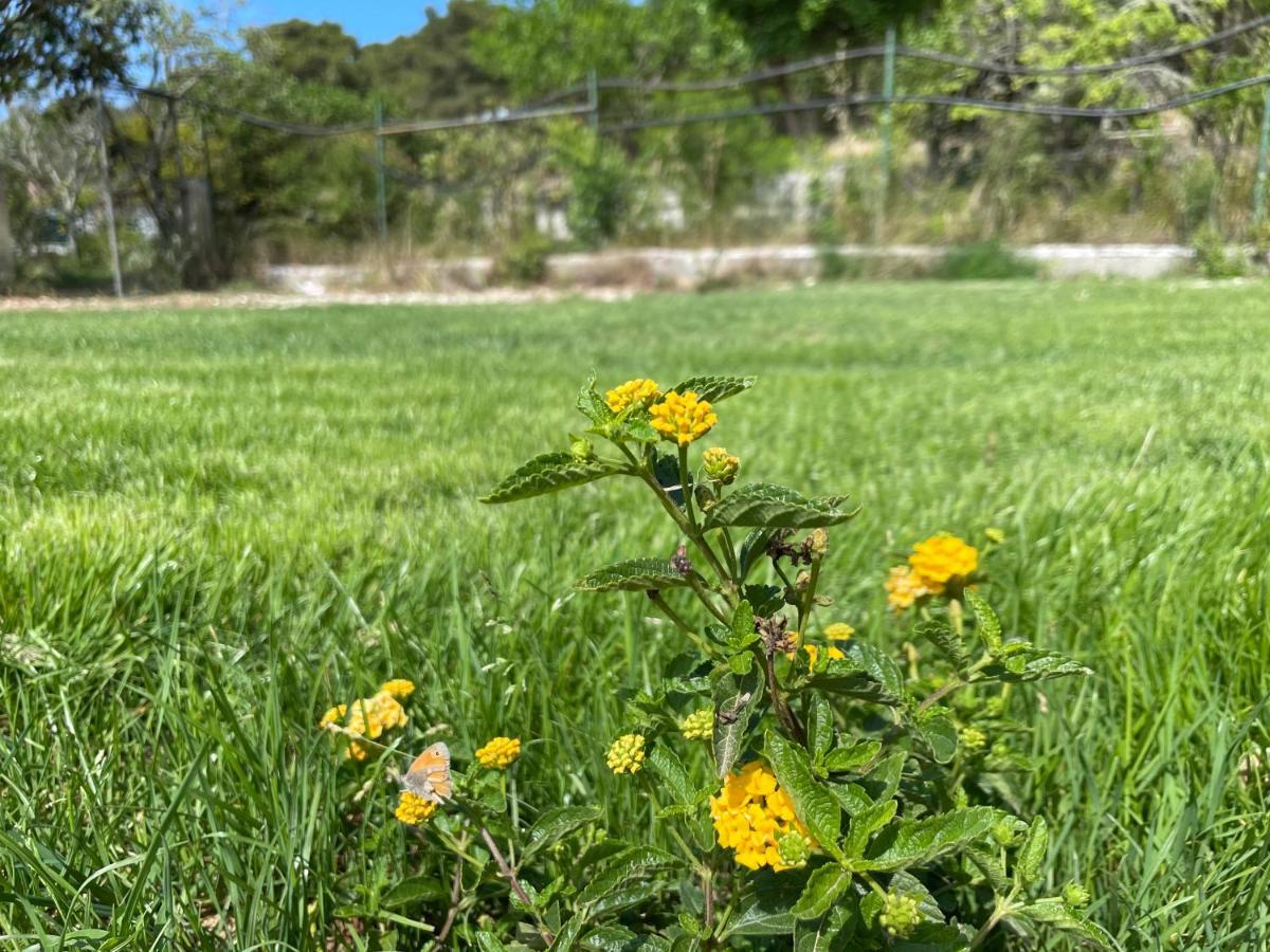 Villa Anna Maria オートラント エクステリア 写真